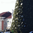Фото :ПАИ - InformPskov.Ru