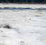 Фото: ПАИ - InformPskov.Ru