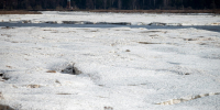 Фото: ПАИ - InformPskov.Ru