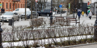 До +7 градусов и мокрый снег прогнозируют в Псковской области 6 марта - Pln-Pskov.Ru