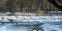 Фото: ПАИ - InformPskov.Ru