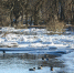 Фото: ПАИ - InformPskov.Ru