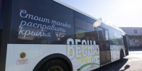Автобусы и остановки в Псковской области украсят в единой весенней стилистике - Псковская правда