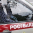 Росгвардейцы задержали 18-летнюю псковичку, подозреваемую в краже телефона у работника кафе - Pln-Pskov.Ru