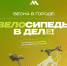 Молодежный центр Пскова проведет акцию «На работу на велосипеде» и традиционный велопарад - Pln-Pskov.Ru