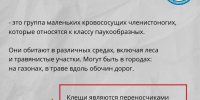 За год в Псковской области выявили почти 500 боррелиозных клещей - Pln-Pskov.Ru