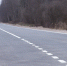 Фото: ПАИ - InformPskov.Ru