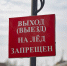 Фото: Анастасия Куртеева / ПАИ - InformPskov.Ru