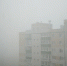 Фото: ПАИ - InformPskov.Ru
