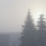 Фото: ПАИ - InformPskov.Ru