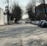 Новые деревья высадят на месте спиленных на улице Некрасова в Пскове - Псковская правда