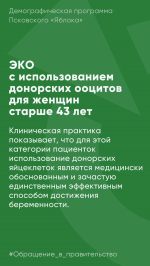Псковское «Яблоко» предлагает увеличить доступность ЭКО и других репродуктивных технологий за счет бюджета