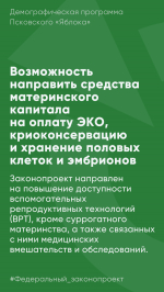 Псковское «Яблоко» предлагает увеличить доступность ЭКО и других репродуктивных технологий за счет бюджета