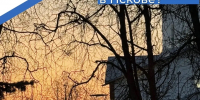 Фото из канала Бориса Елкина в мессенджере MAX - InformPskov.Ru