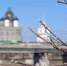 Фото: ПАИ - InformPskov.Ru