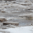 Фото: ПАИ - InformPskov.Ru