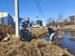 Первые весенние субботники прошли в Пскове