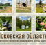 Псковская область станет точкой притяжения для проведения "Школы Агротуризма" - Информационный туристский центр