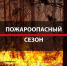 В Псковской области с 27 марта установлен пожароопасный сезон - Министерство природных ресурсов и экологии