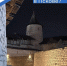 Фото из канала Бориса Елкина в MAX - InformPskov.Ru