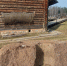 Новый экспонат появился на бугровской мельнице в «Михайловском» - Pln-Pskov.Ru