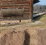 Фото: музей-заповедник «Михайловское» - InformPskov.Ru