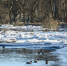 Фото: ПАИ - InformPskov.Ru