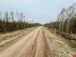Грейдирование дорог в Псковском округе выполнено уже на 50%