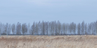 Фото: ПАИ - InformPskov.Ru
