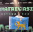 Псковская школьница стала победительницей международной олимпиады «Infomatrix Asia-2026»                      - Министерство образования