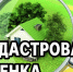 В Псковской области в 2027 году проведут государственную кадастровую оценку недвижимости. - BusinessPskov.Ru