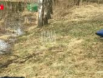 Тело пропавшего 65-летнего мужчины нашли в озере Великолукского района