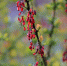 Фото: ПАИ - InformPskov.Ru