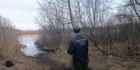 Фото: пресс-служба СУ СК России по Псковской области - InformPskov.Ru