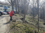Сотрудники администрации Великих Лук приняли участие в весеннем субботнике