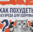 Как похудеть без вреда для здоровья - InformPskov.Ru