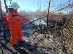Добровольцы в деле!