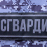 В областном центре сотрудники вневедомственной охраны Росгвардии задержали подозреваемых в краже - Росгвардия