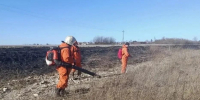 Добровольные пожарные команды приступили к дежурству в Псковском и Дедовичском округах - Pln-Pskov.Ru