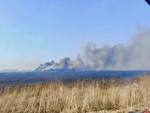 Плановый облет лесных территорий проводят в Псковской области