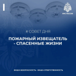 Фото: пресс-служба ГУ МЧС России по Псковской области