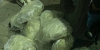 Задержание контрабандистов - InformPskov.Ru