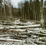 Фото здесь и далее из материалов уголовного дела - InformPskov.Ru