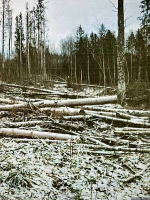 Фото здесь и далее из материалов уголовного дела