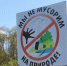 Псковское «Яблоко» приглашает на субботник - Яблоко
