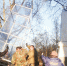 Фото: музей-заповедник «Михайловское» - InformPskov.Ru