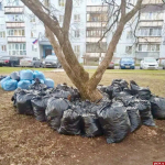 Более сорока субботников прошли на территории Псковского округа