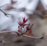 Фото: ПАИ - InformPskov.Ru