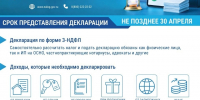 20 дней осталось до конца декларационной кампании - Псковская правда