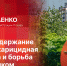 «Беседка»: Алексей Саенко о летнем содержании городских территорий - Pln-Pskov.Ru